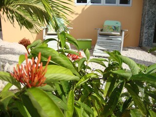 Apartamento Barber Grabación al aire libre 2