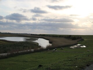 Deichlandschaft