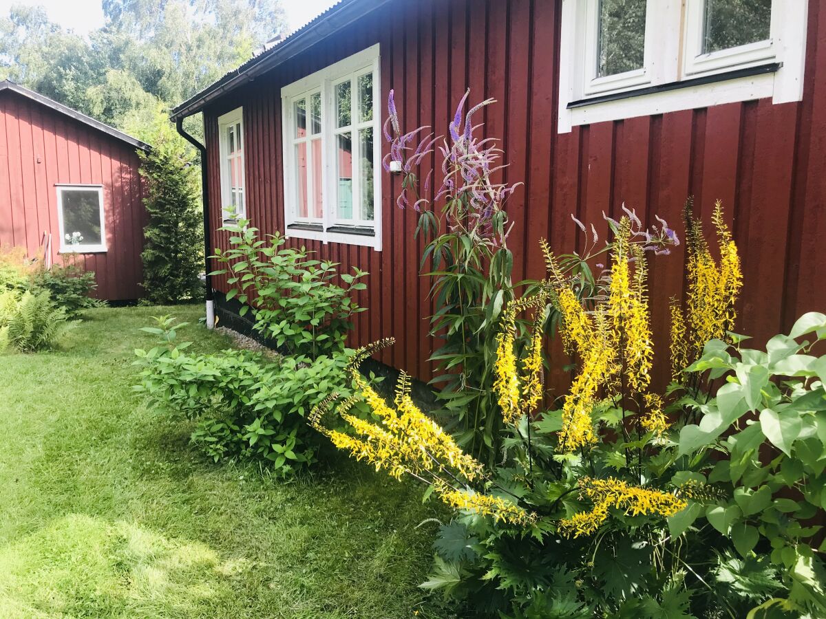 Ferienhaus Älgåna Außenaufnahme 5