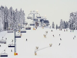 Apartamento de vacaciones Winterberg Entorno 36