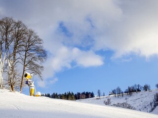 Appartamento per vacanze Winterberg Ambiente 35