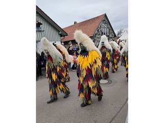Narrengruppe der schwäbisch alemannischen Fasnet