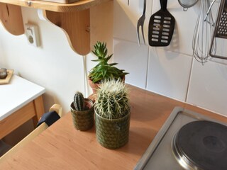 Appartamento Bergen aan Zee  26