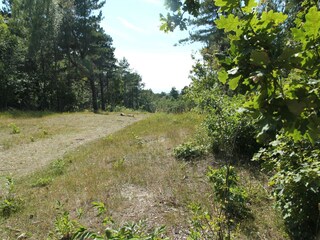 Appartamento Bergen aan Zee Registrazione all'aperto 1