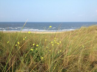 Appartamento Bergen aan Zee Ambiente 25