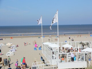Apartment Bergen aan Zee Environment 28