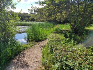 Apartment Bergen aan Zee Umgebung 26