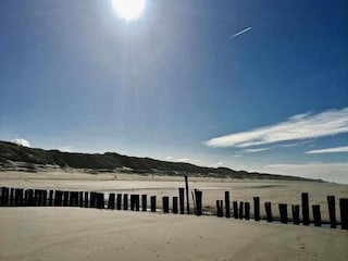 Apartment Bergen aan Zee Environment 21