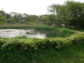 Apartamento Bergen aan Zee Entorno 26