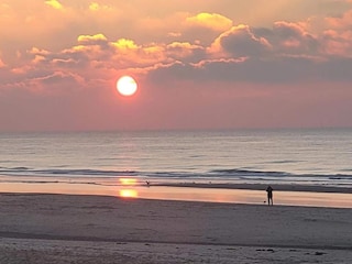 Appartement Bergen aan Zee Environnement 27