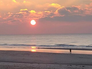 Appartement Bergen aan Zee Environnement 28