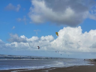 Appartement Bergen aan Zee Environnement 22
