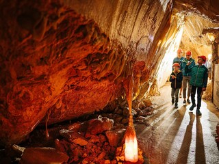 Holiday apartment Eberndorf Environment 15