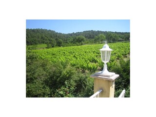 Vakantiehuis Vaison-la-Romaine Omgeving 10