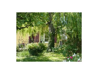 Vakantiehuis Vaison-la-Romaine Omgeving 11