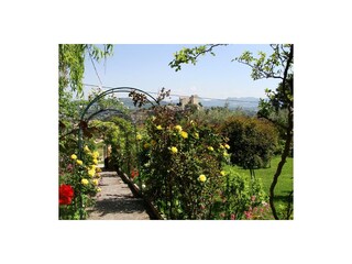 Vakantiehuis Vaison-la-Romaine Omgeving 12