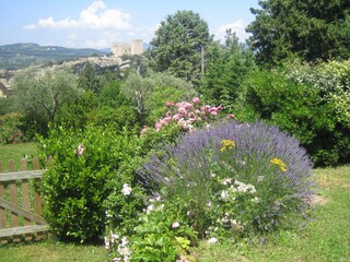Vakantiehuis Vaison-la-Romaine Omgeving 4