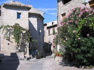 Vakantiehuis Vaison-la-Romaine  27