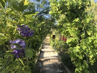 Vakantiehuis Vaison-la-Romaine Omgeving 14