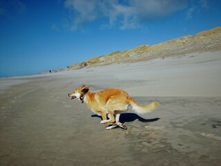 Casa per le vacanze Süssau Ambiente 17