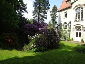 Ferienwohnung Wachstein - Bad Gottleuba - image1