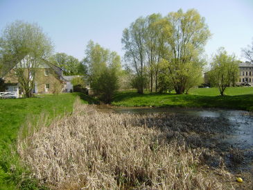 Ferienhaus Haus Barby