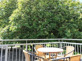 Loggia mit Blick in die Kastanien