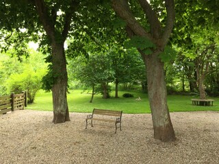 Blick in den Garten