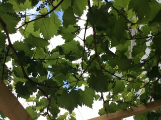 Appartamento per vacanze Medulin Registrazione all'aperto 4