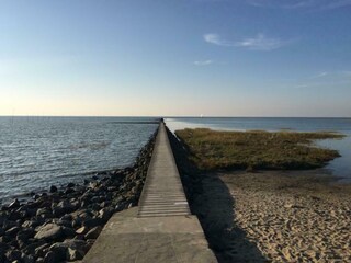 Auch ein Holzweg führt ins Meer