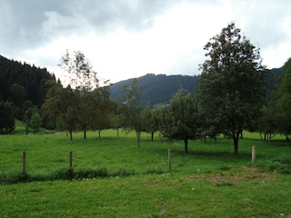 Richtung Westen - der Osbtgarten