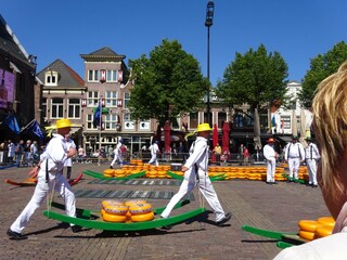 Käsemarkt in Alkmaar