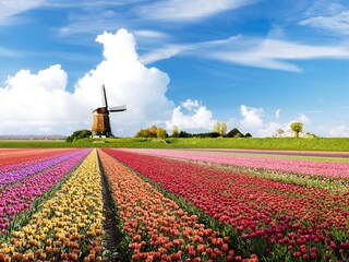 Vakantiehuis Julianadorp Omgeving 23