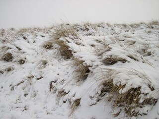 Casa per le vacanze Julianadorp Ambiente 19