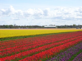 Appartamento per vacanze Callantsoog Caratteristiche 14