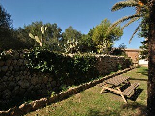 Casa de campo Ses Covetes Grabación al aire libre 5