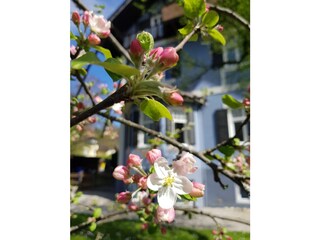 Appartamento per vacanze Garmisch-Partenkirchen Registrazione all'aperto 5