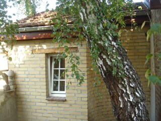 View from the garden 2