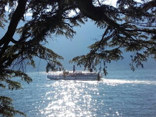 Appartement de vacances Nesso Environnement 49