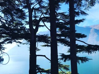 Appartement de vacances Nesso Environnement 44