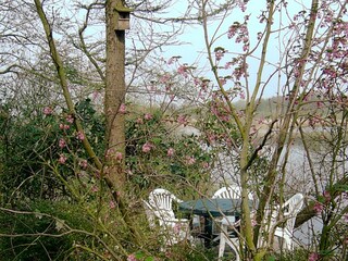 Vakantiehuis Marienhafe Omgeving 19