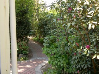 Vakantiehuis Marienhafe Omgeving 11