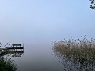 See im Nebel