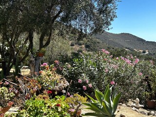 Holiday house Solanas Outdoor Recording 20