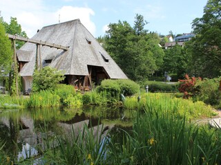 Appartamento per vacanze Unterkirnach Ambiente 20