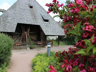 Appartamento per vacanze Unterkirnach Ambiente 19