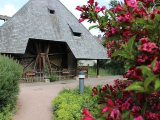 Appartement de vacances Unterkirnach Environnement 19