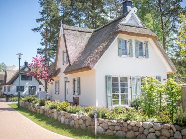 Ferienhaus Reet-Seaside