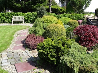 Garten im Juni