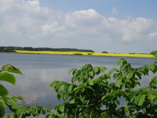 Schlei (400 Meter entfernt) im Mai